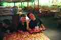 08_05a.jpg